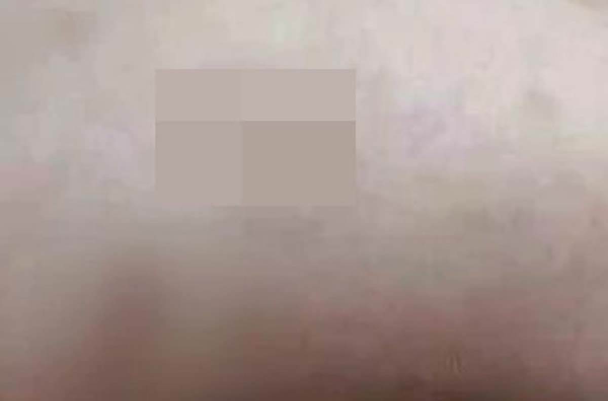 MONDO galerija  (1).jpg