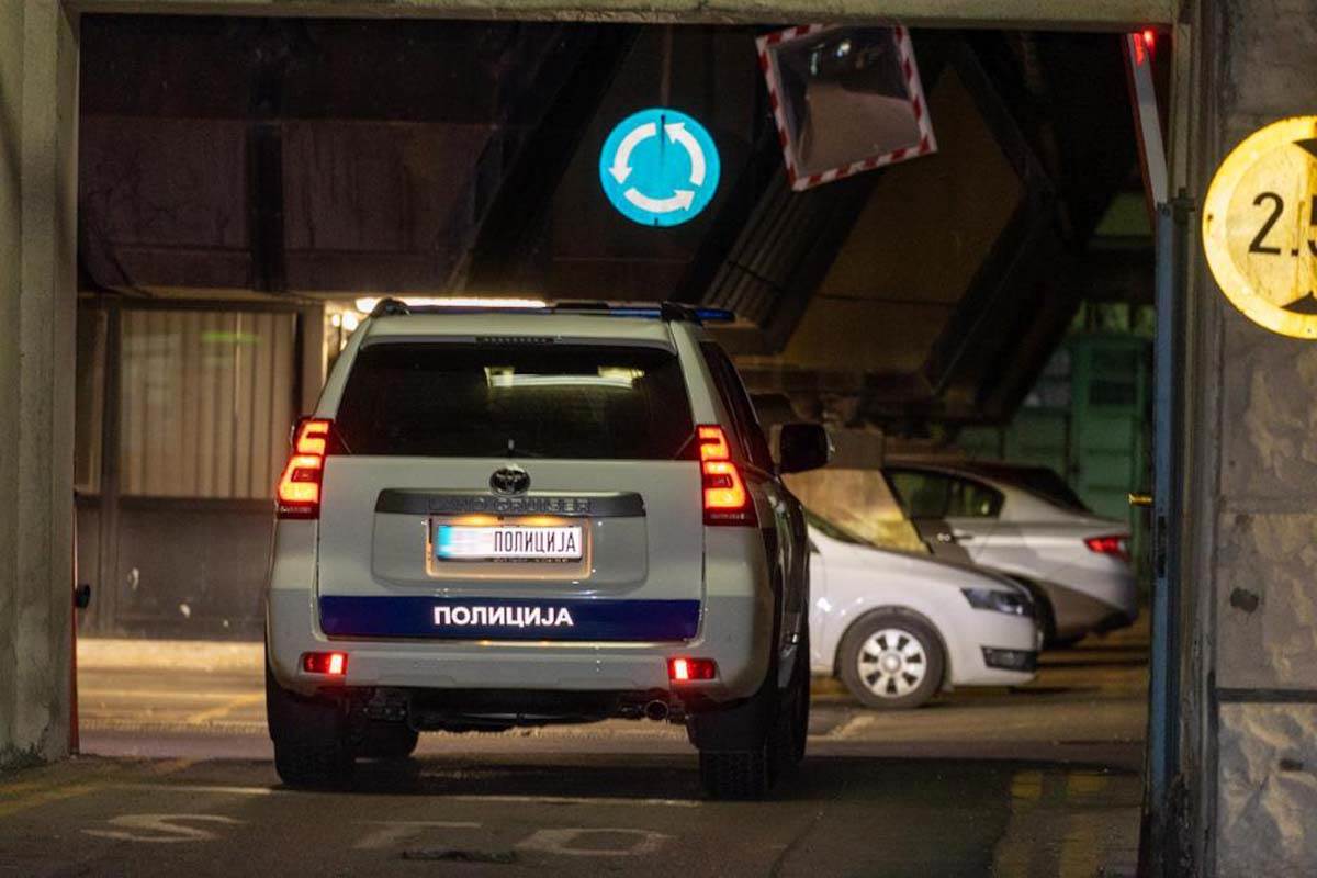 Luka Bojović  (1).jpg