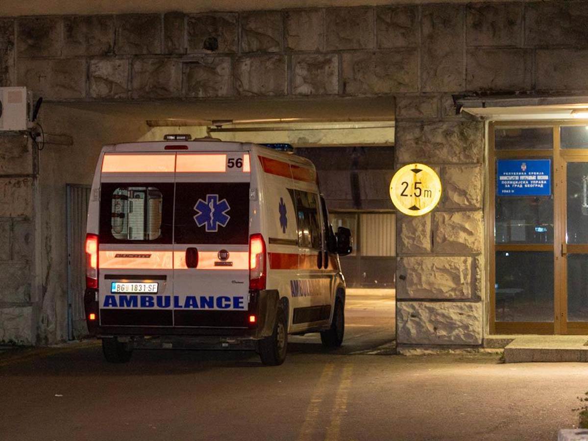 Luka Bojović  (2).jpg