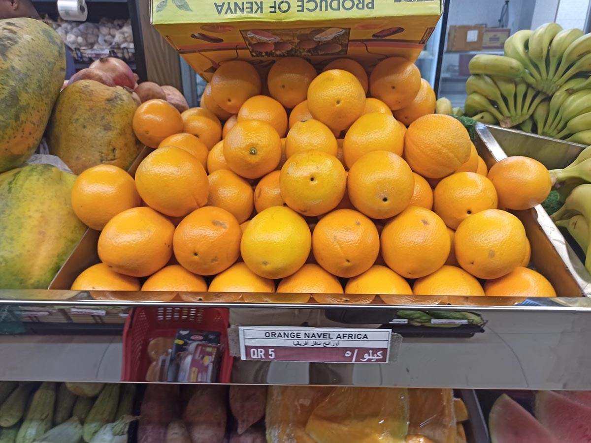 WhatsApp Image 2022-12-02 at 09.06.10.jpg