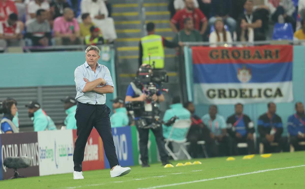 Srbija Švajcarska  (7).jpg