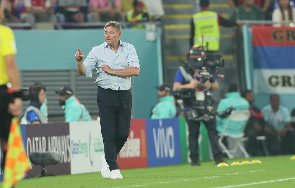 Srbija Švajcarska  (8).jpg