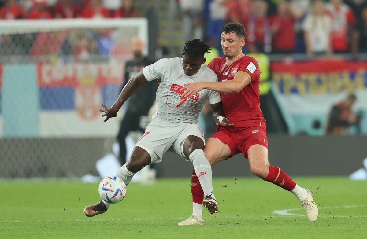 Srbija Švajcarska  (9).jpg