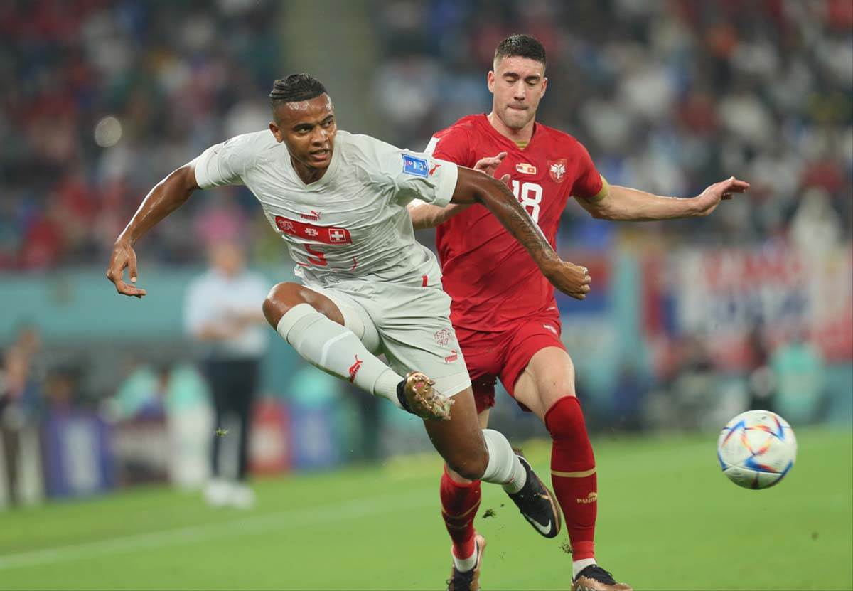 Srbija Švajcarska  (13).jpg