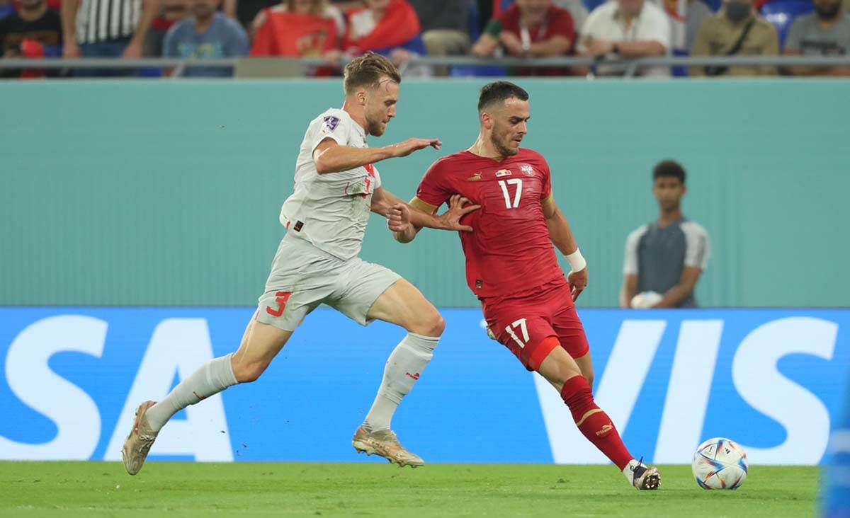 Srbija Švajcarska  (15).jpg