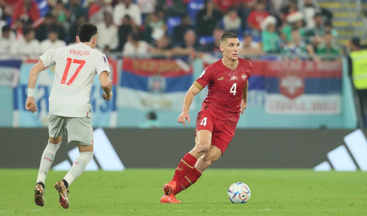 Srbija Švajcarska  (17).jpg