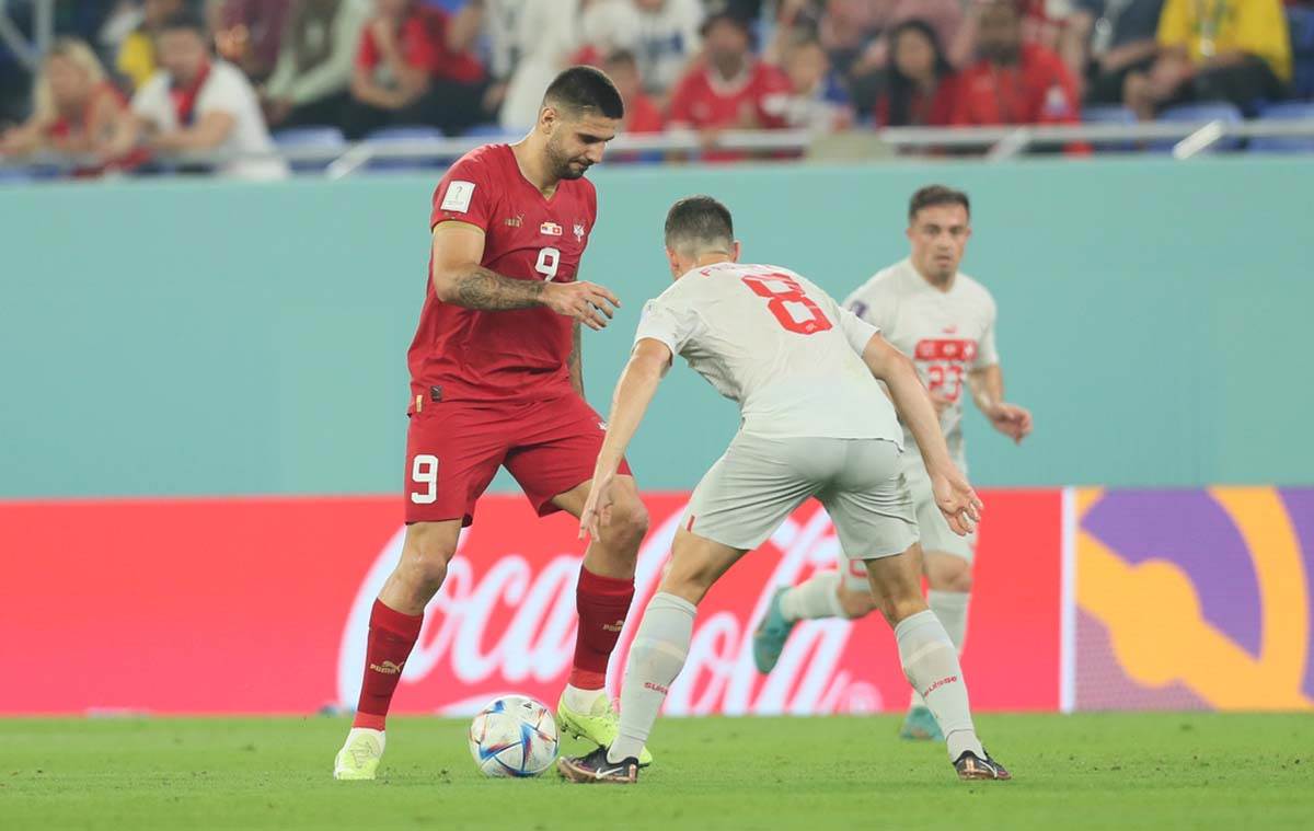 Srbija Švajcarska  (18).jpg