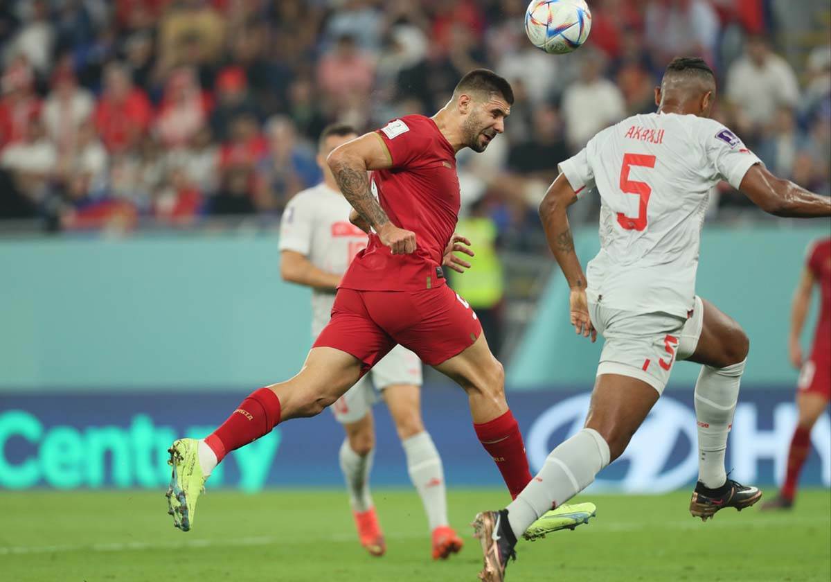 Srbija Švajcarska  (23).jpg