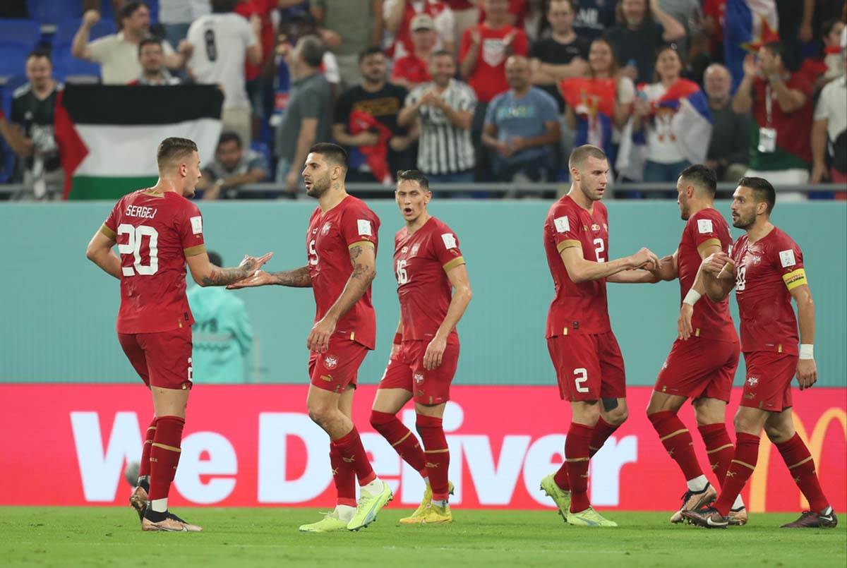 Srbija Švajcarska  (24).jpg