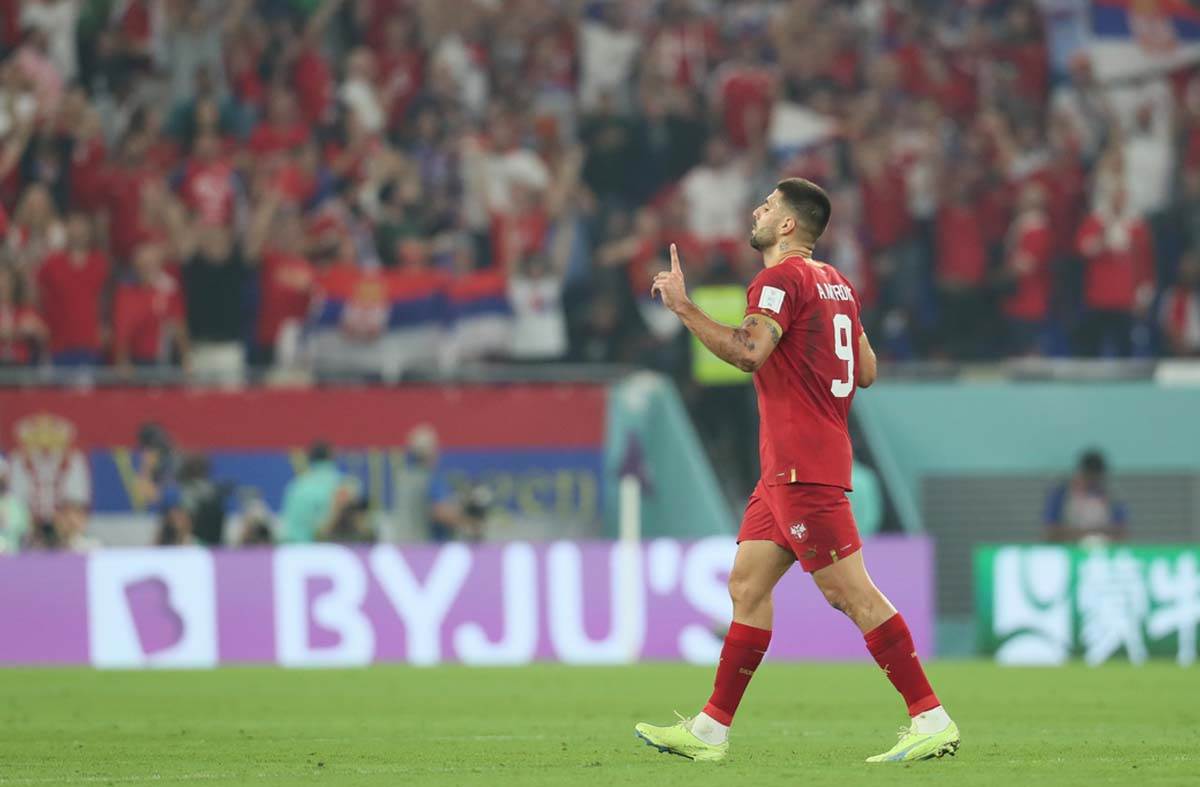 Srbija Švajcarska  (27).jpg