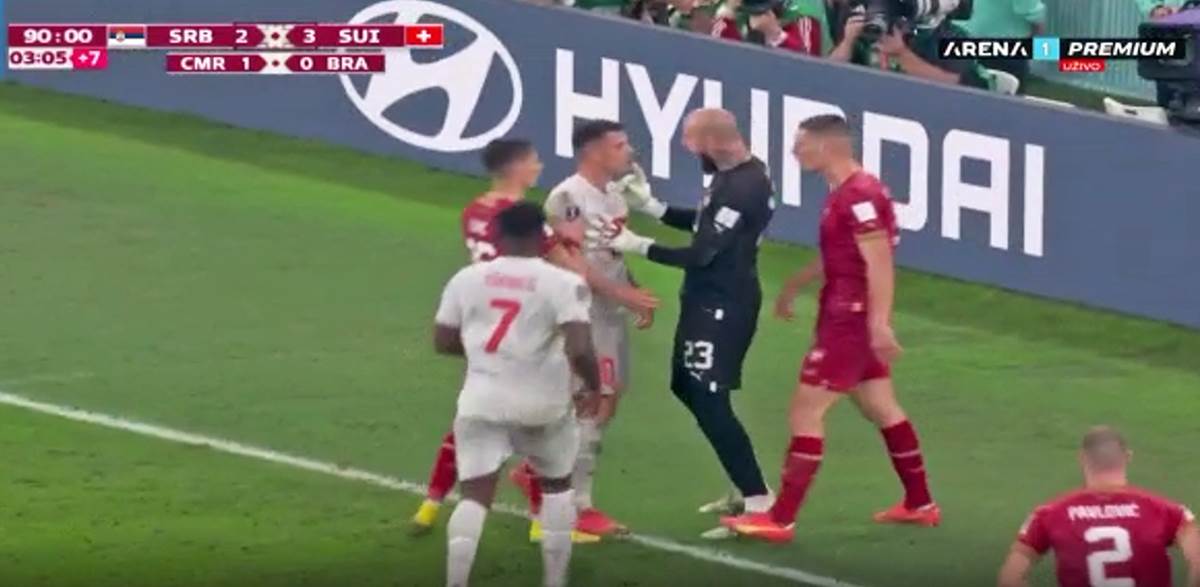 Dzaka Milenkovic (7).png