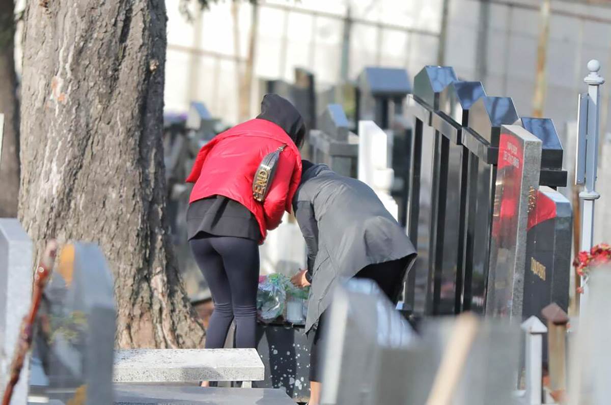 Grob Nikola Bojovic (10).jpg