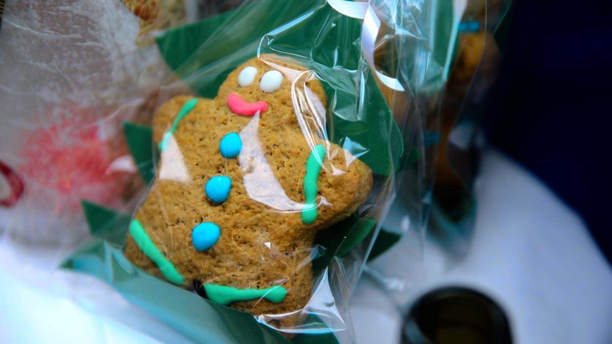 Srce na dlanu  (4).jpg