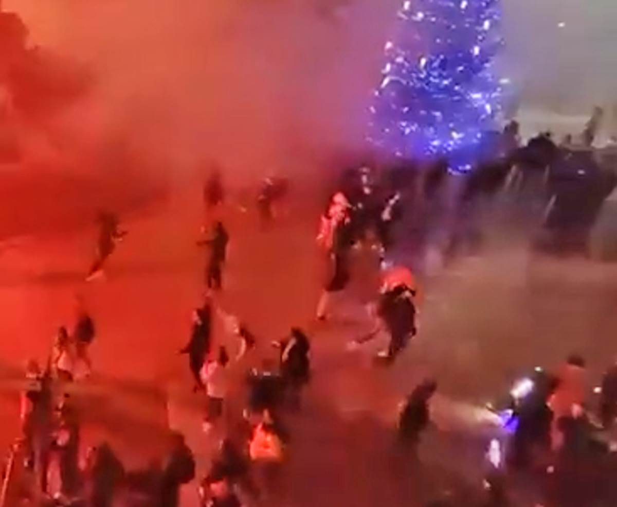 Tuca navijaca  (4).png