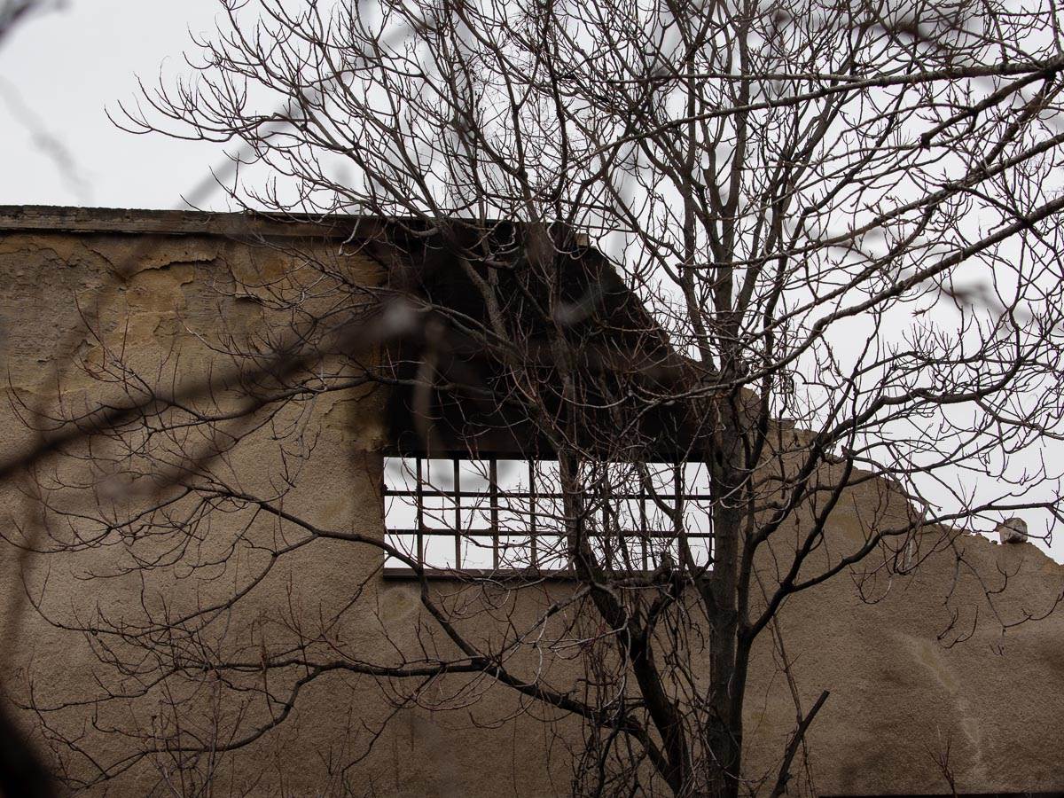 Požar Sutjeska-0007-2.jpg