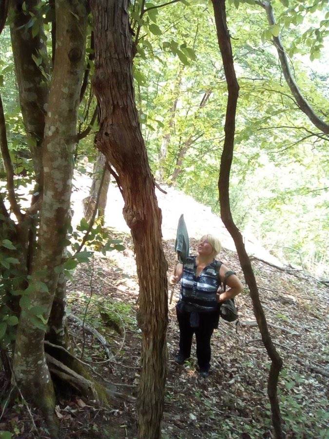 Vinova loza  (3).jpg