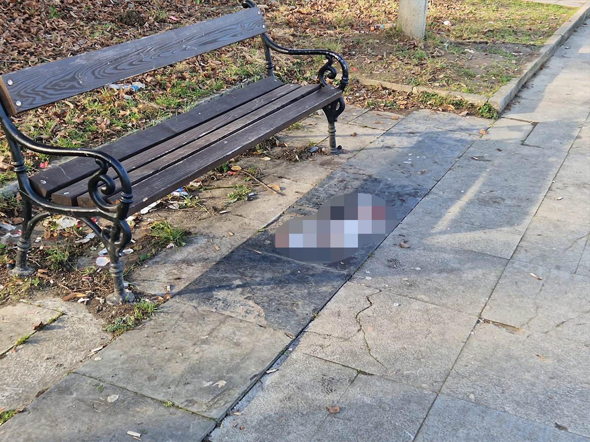 Splav Fristajl 2.jpg