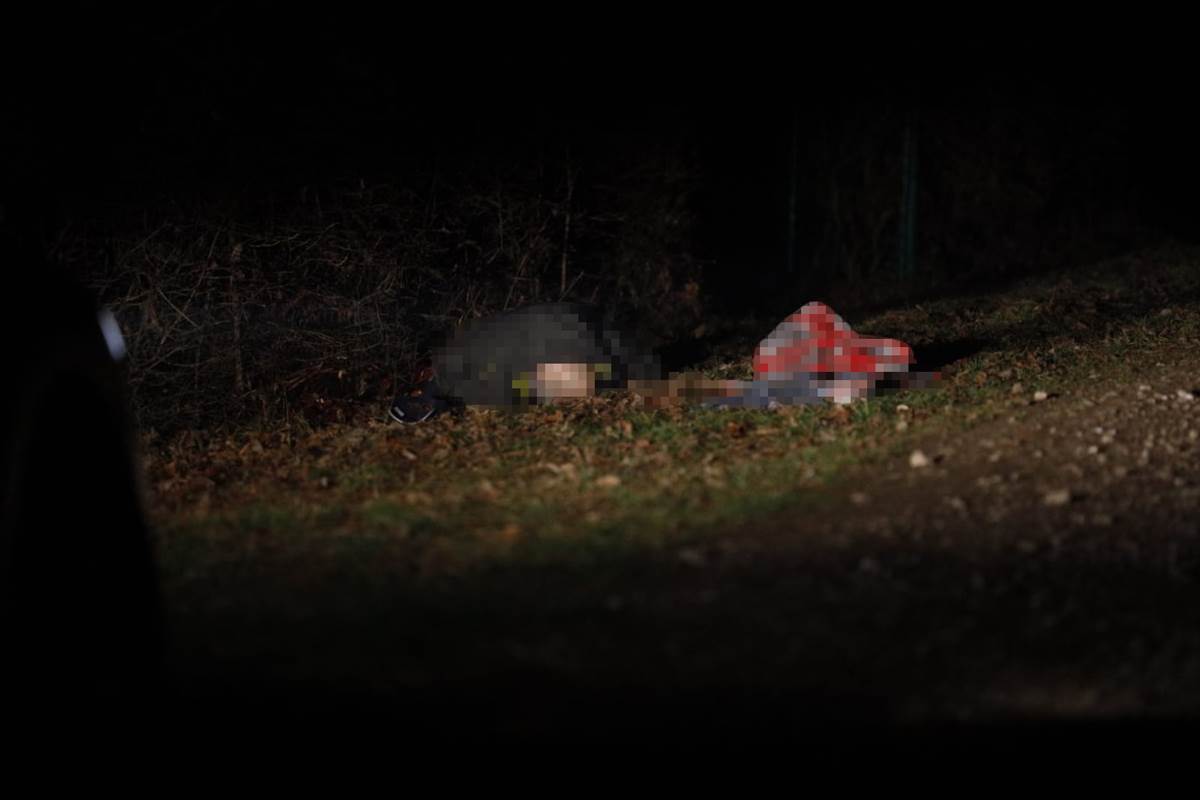 Ko je vlasnik pasa koji su izjedali Vladana Radosavljevića