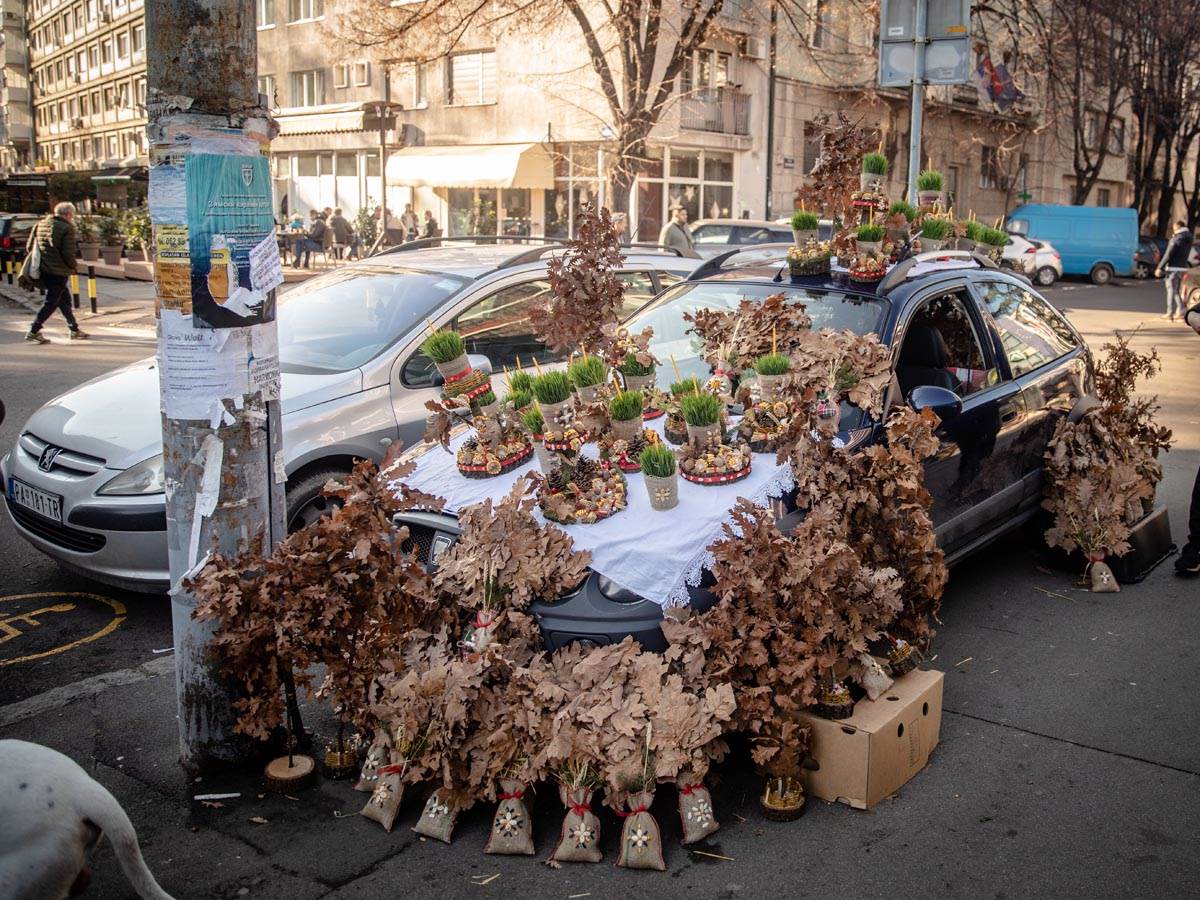 Cene ribe i badnjaka na pijacama
