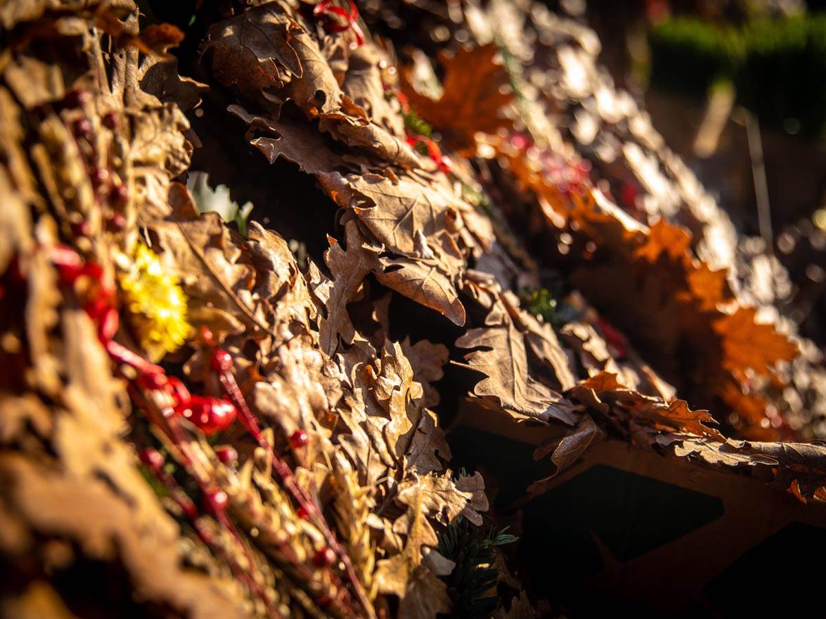 Cene ribe i badnjaka na pijacama