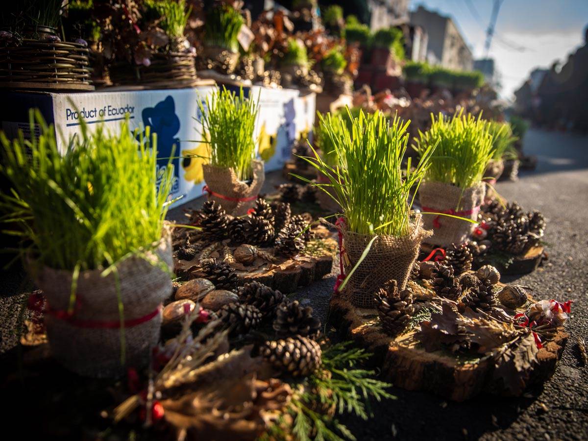 Cene ribe i badnjaka na pijacama