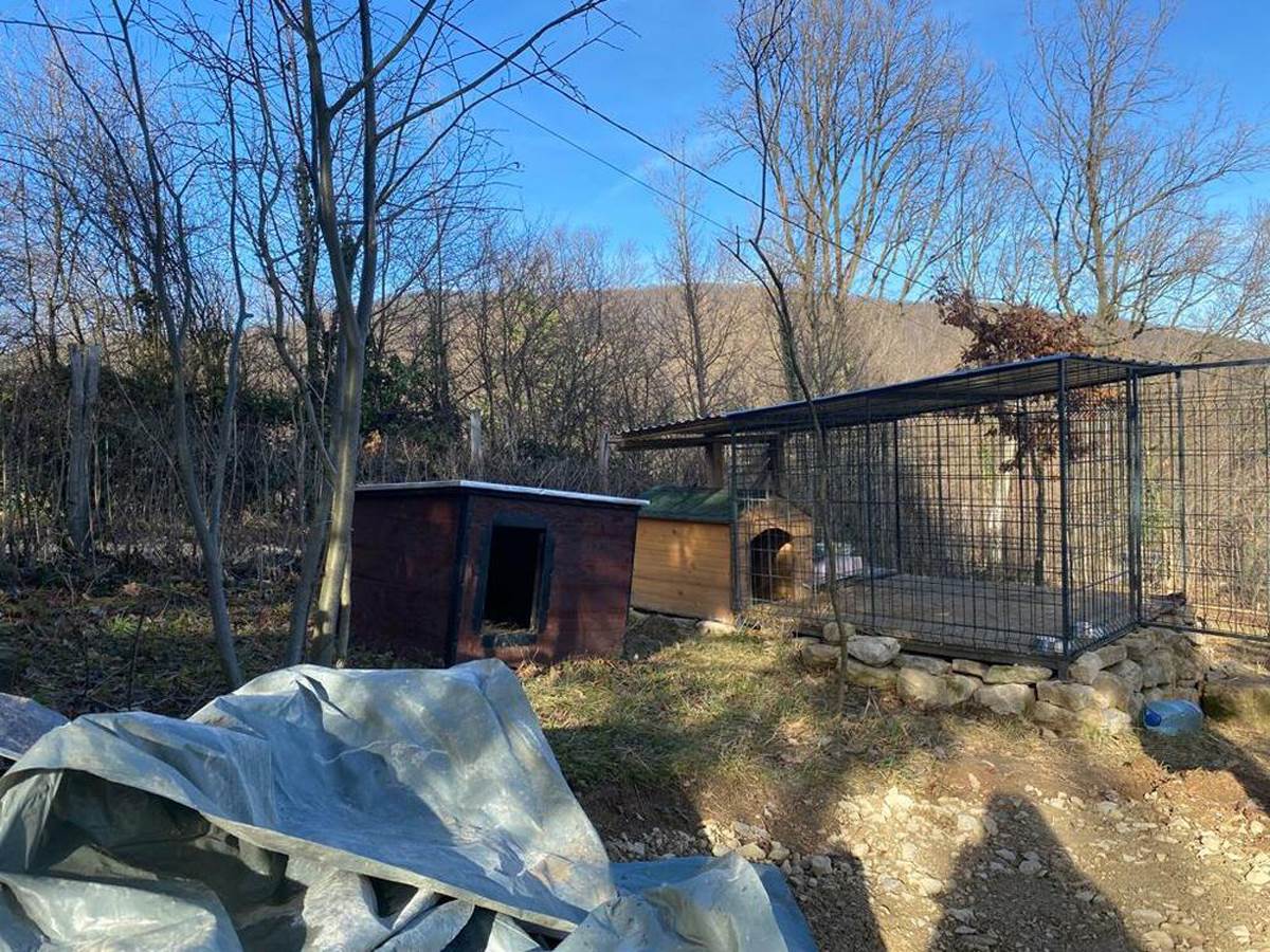 Vikendica kosmaj  (3).jpg