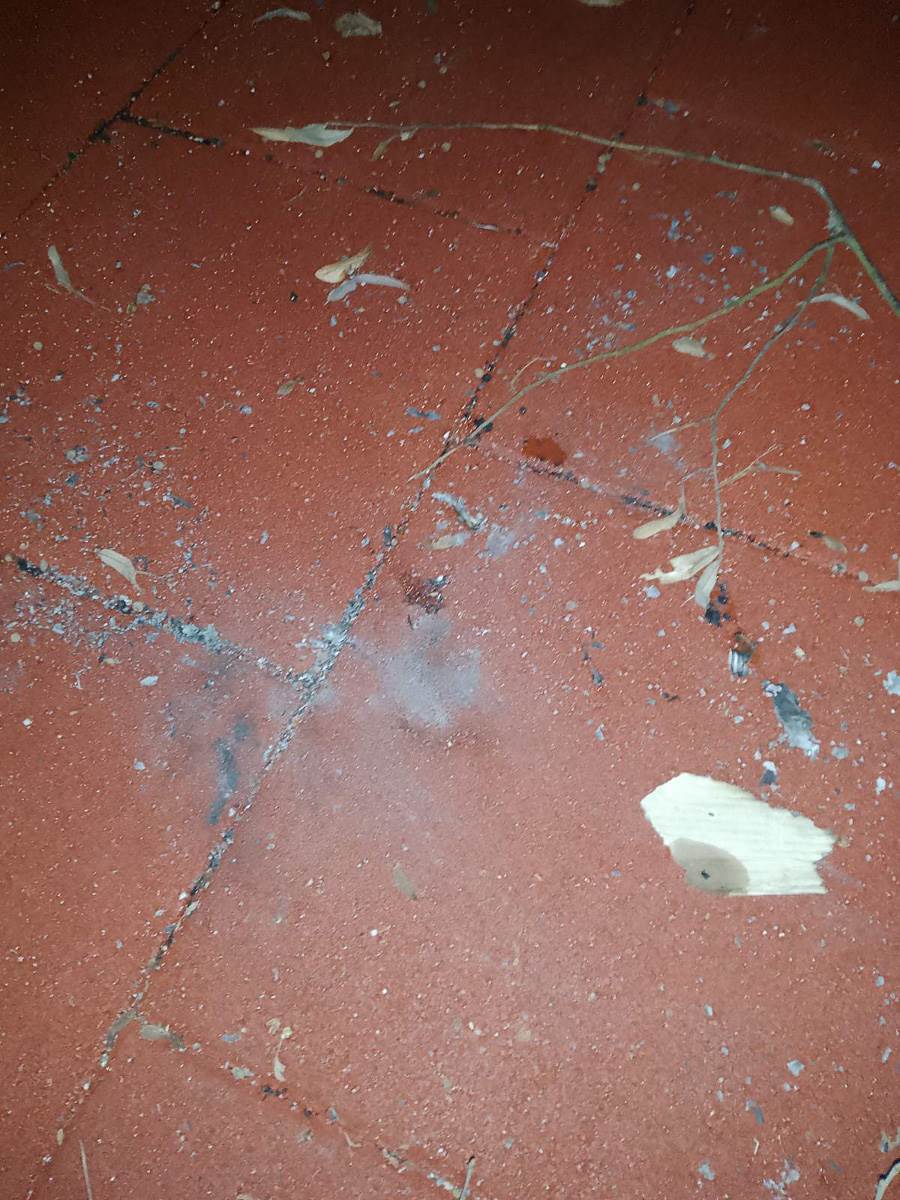 Vandalizam u parku-2.jpg