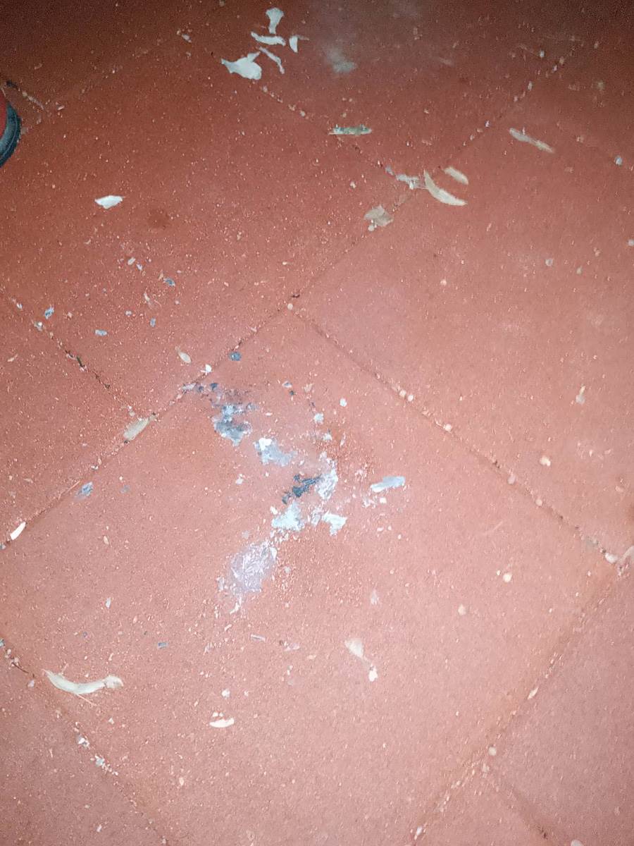 Vandalizam u parku-3.jpg