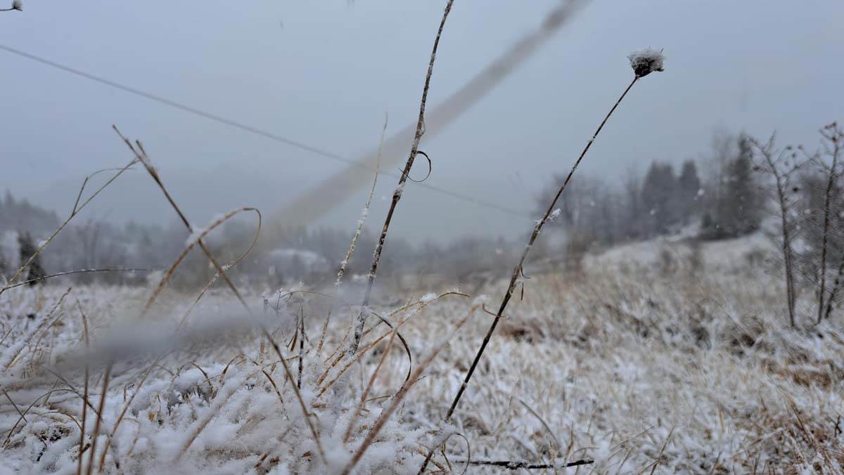 Planine sneg  (1).jpg