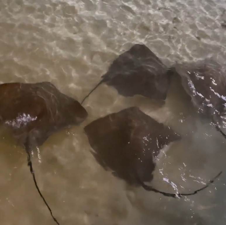 Screenshot from 2023-01-18 16-31-55.jpg