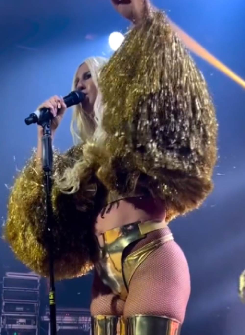 Jelena Karleuša.jpg