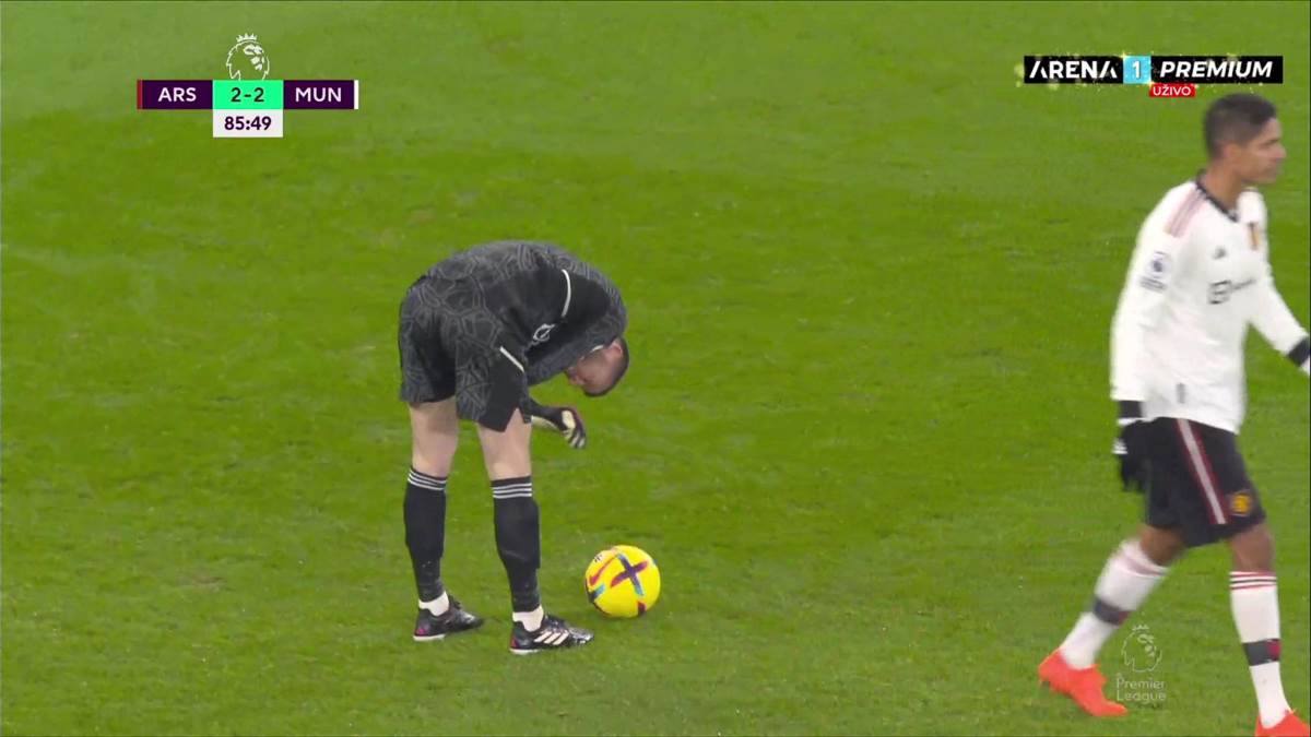 David de Hea simulira.jpg