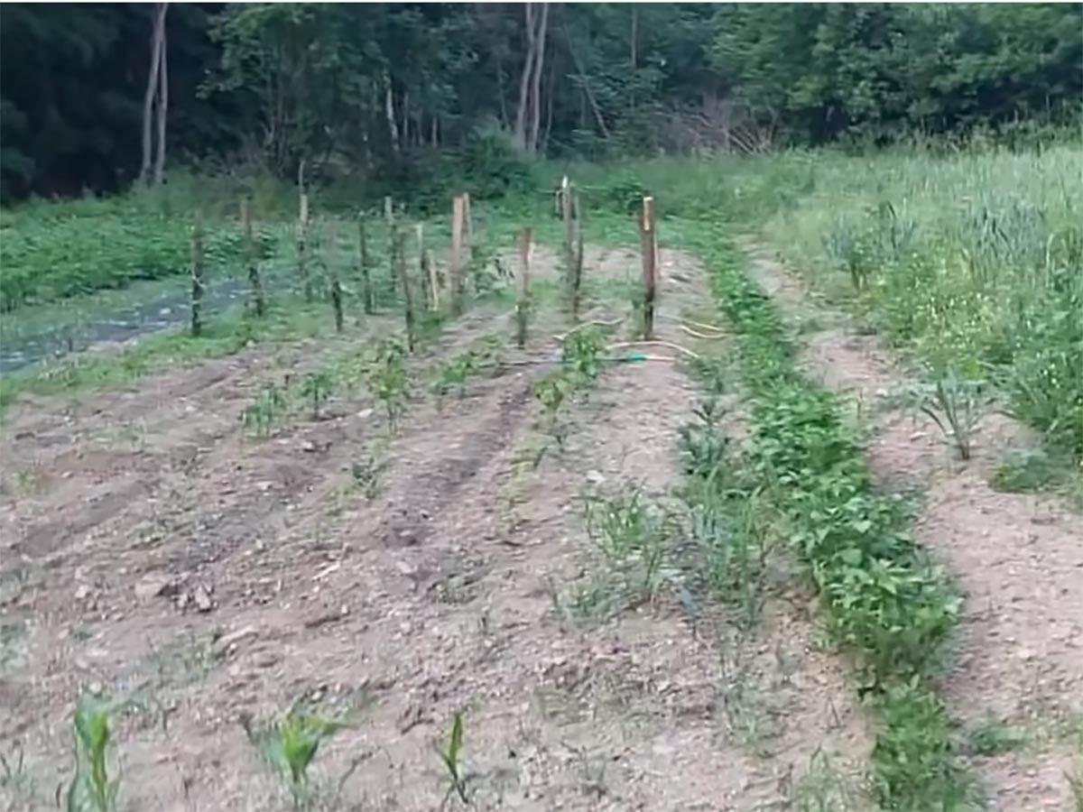 Screenshot from 2023-01-26 14-20-27 copy.jpg