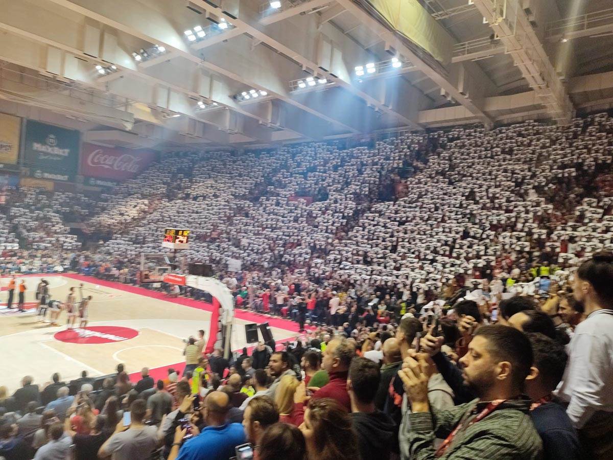 Koreografija  (8).jpg