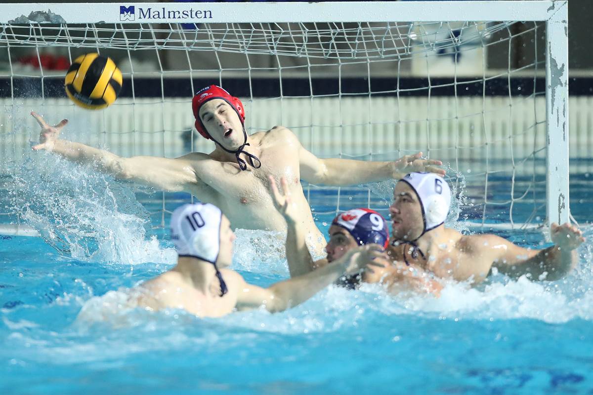 Finale vaterpolo kupa Crvena Zvezda - Novi Beograd.jpg