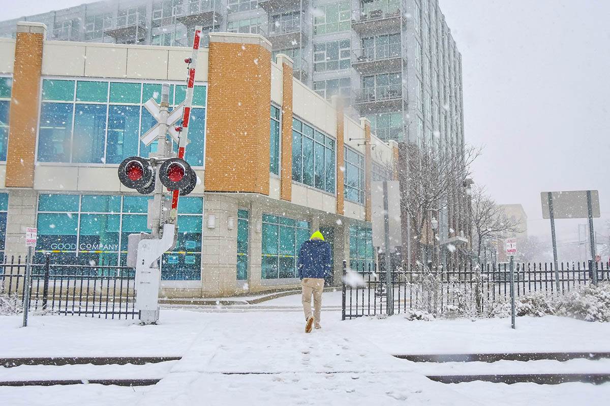 Micigen Sneg (2).jpg