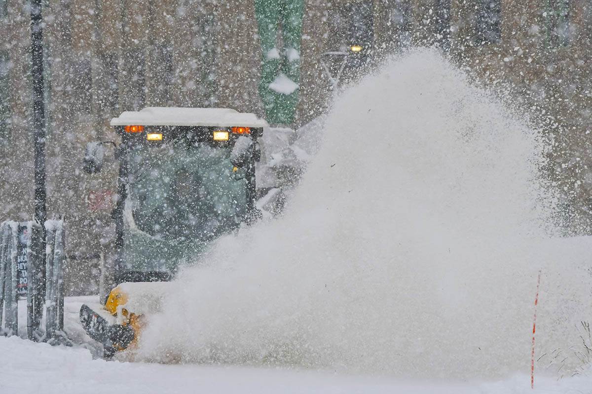 Micigen Sneg (3).jpg