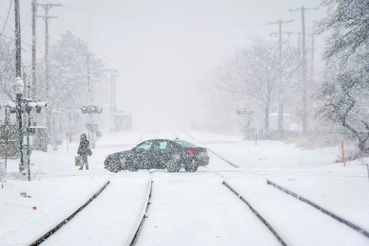 Micigen Sneg (4).jpg