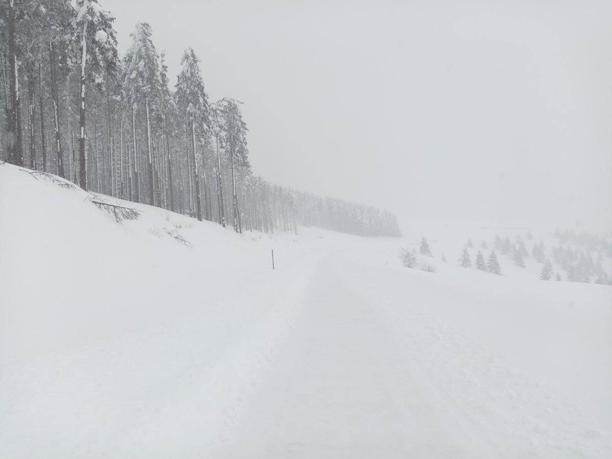 Sneg na goliji  (3).jpg