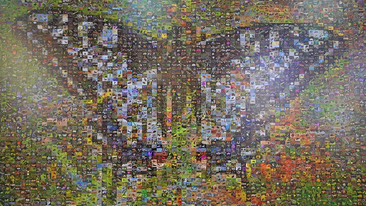 Izložba u Novom Sadu biologa koji je fotografisao 5.000 vrsta živih bića