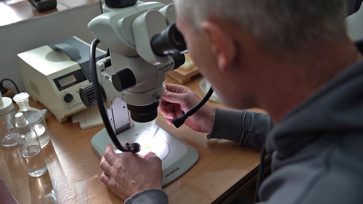 Izložba u Novom Sadu biologa koji je fotografisao 5.000 vrsta živih bića