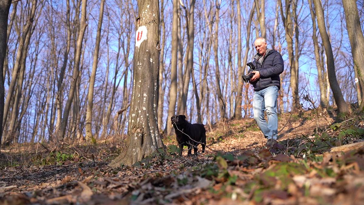Izložba u Novom Sadu biologa koji je fotografisao 5.000 vrsta živih bića
