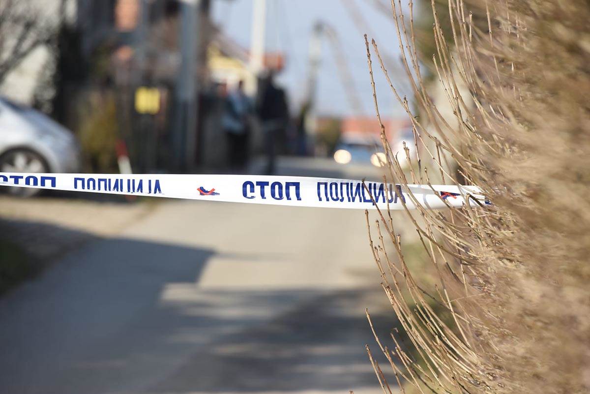 Hronika Surcin (3).jpg