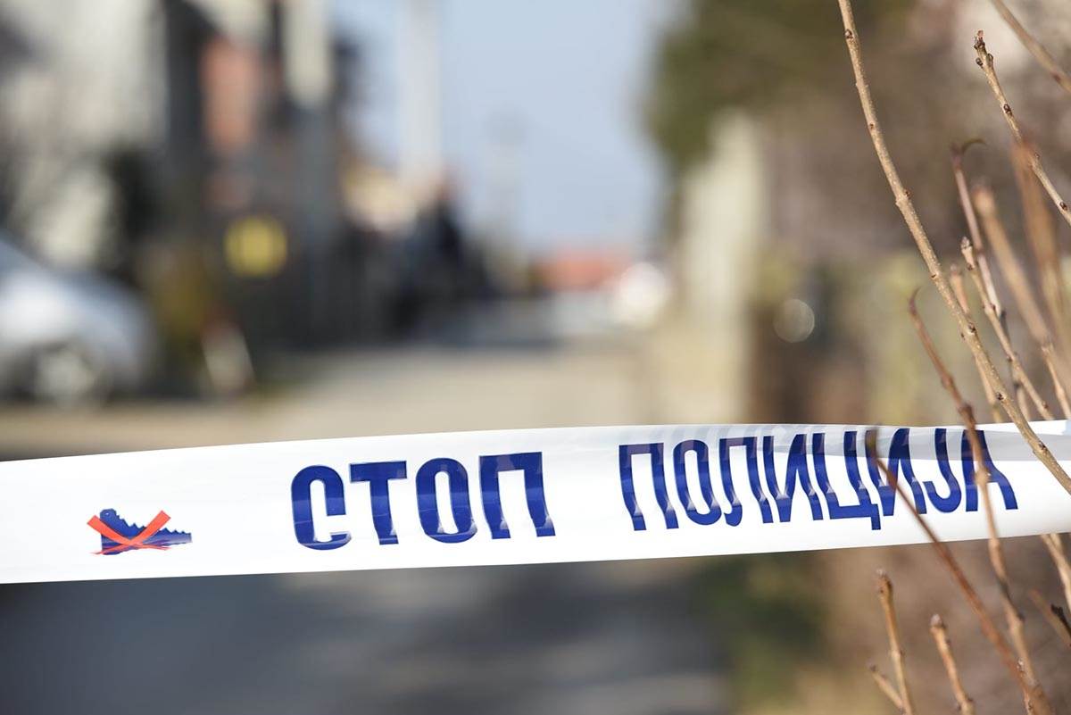 Hronika Surcin (4).jpg