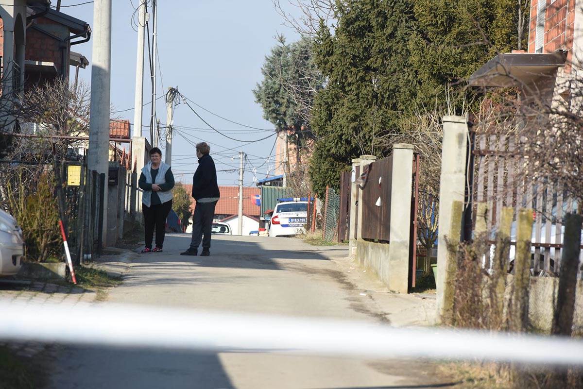 Hronika Surcin (5).jpg