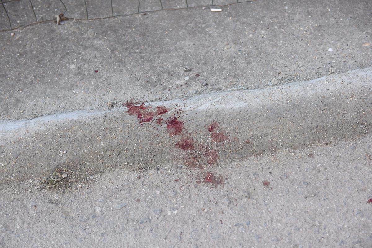 Hronika Surcin (6).jpg