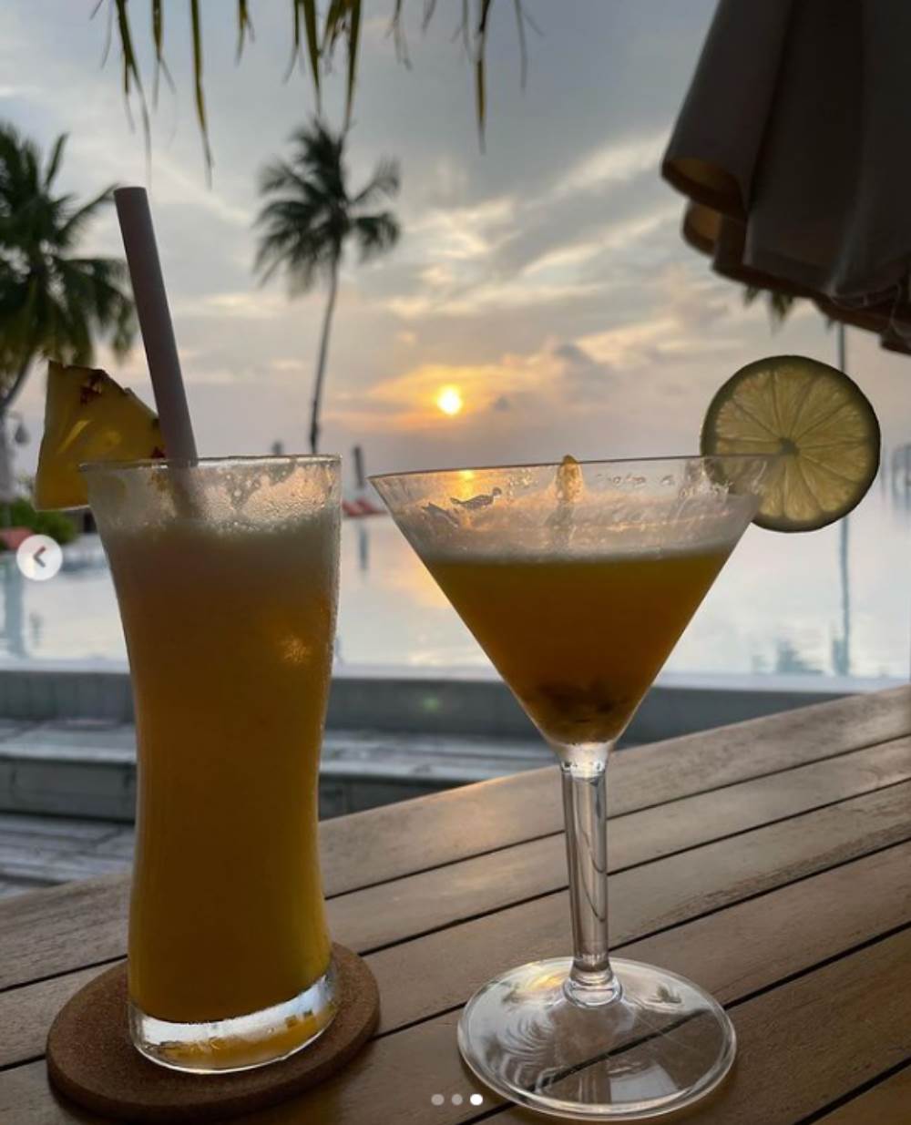 miloš biković3.jpg