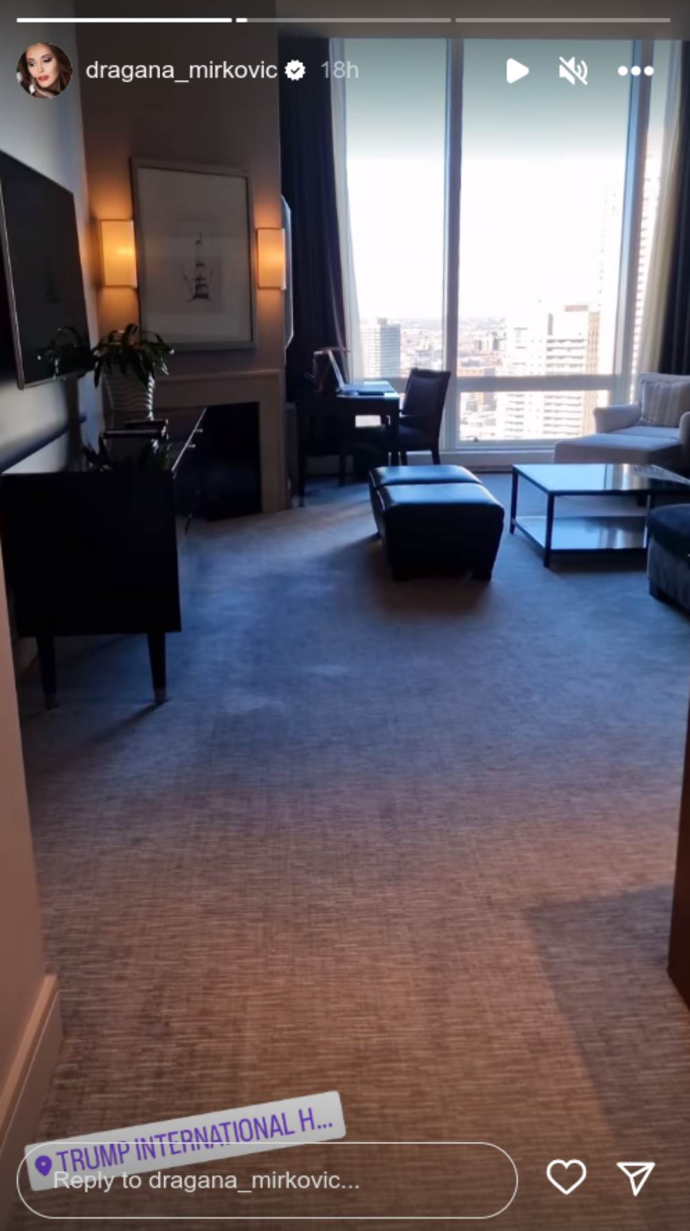 dragana mirković3.png