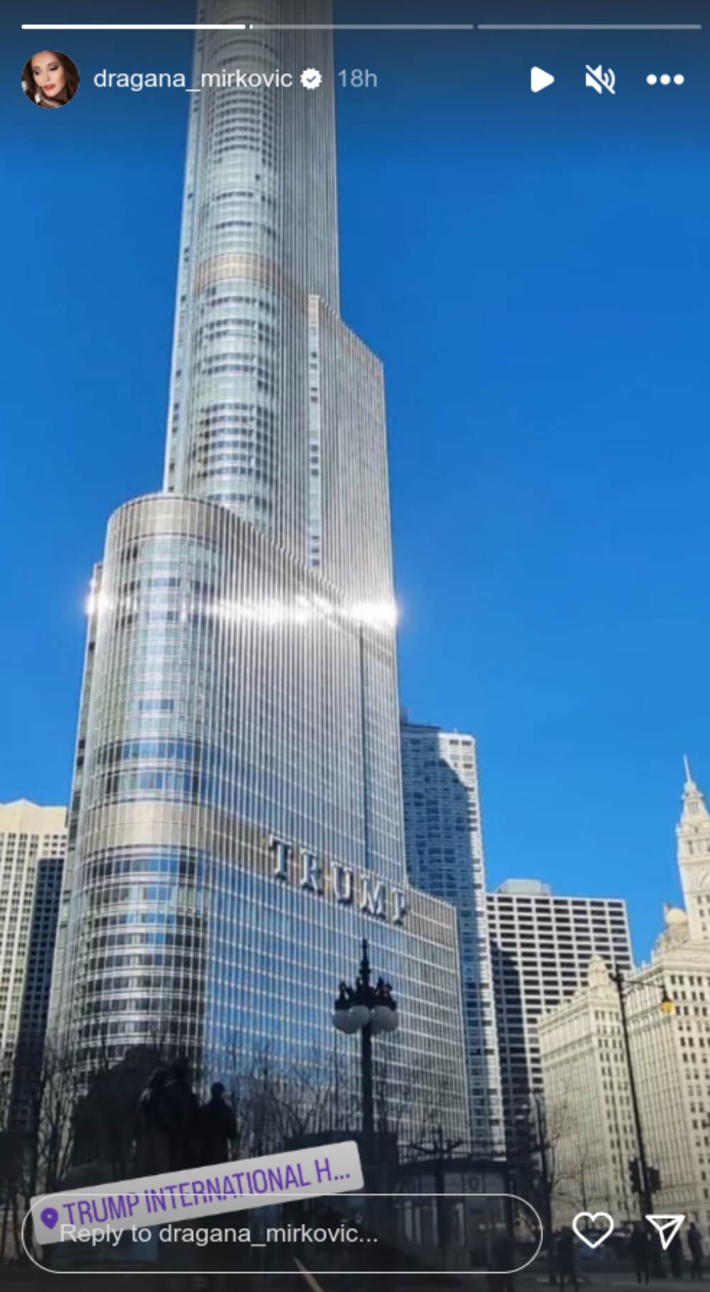 dragana mirković2.png