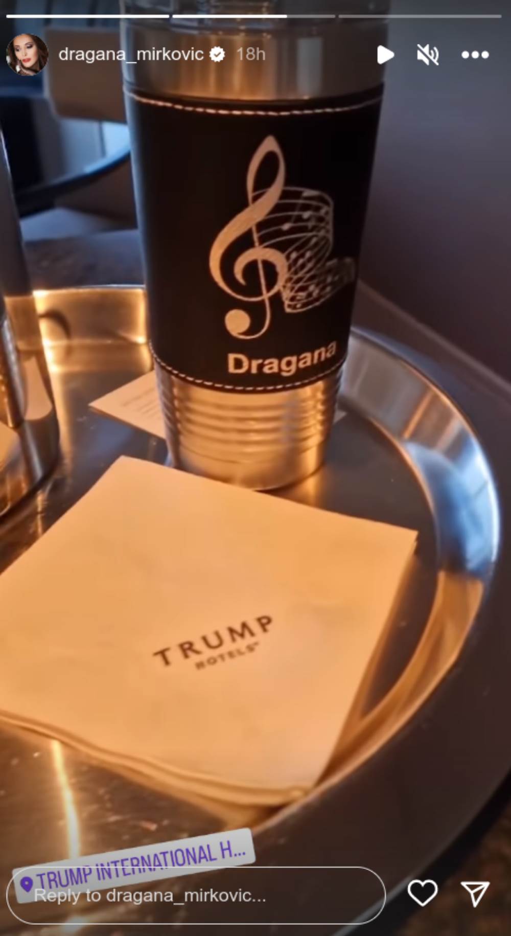 dragana mirković10.png